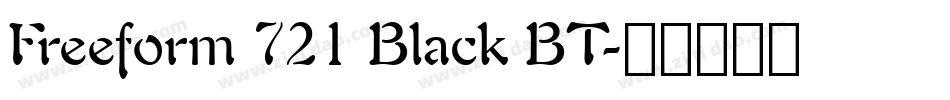 Freeform 721 Black BT字体转换